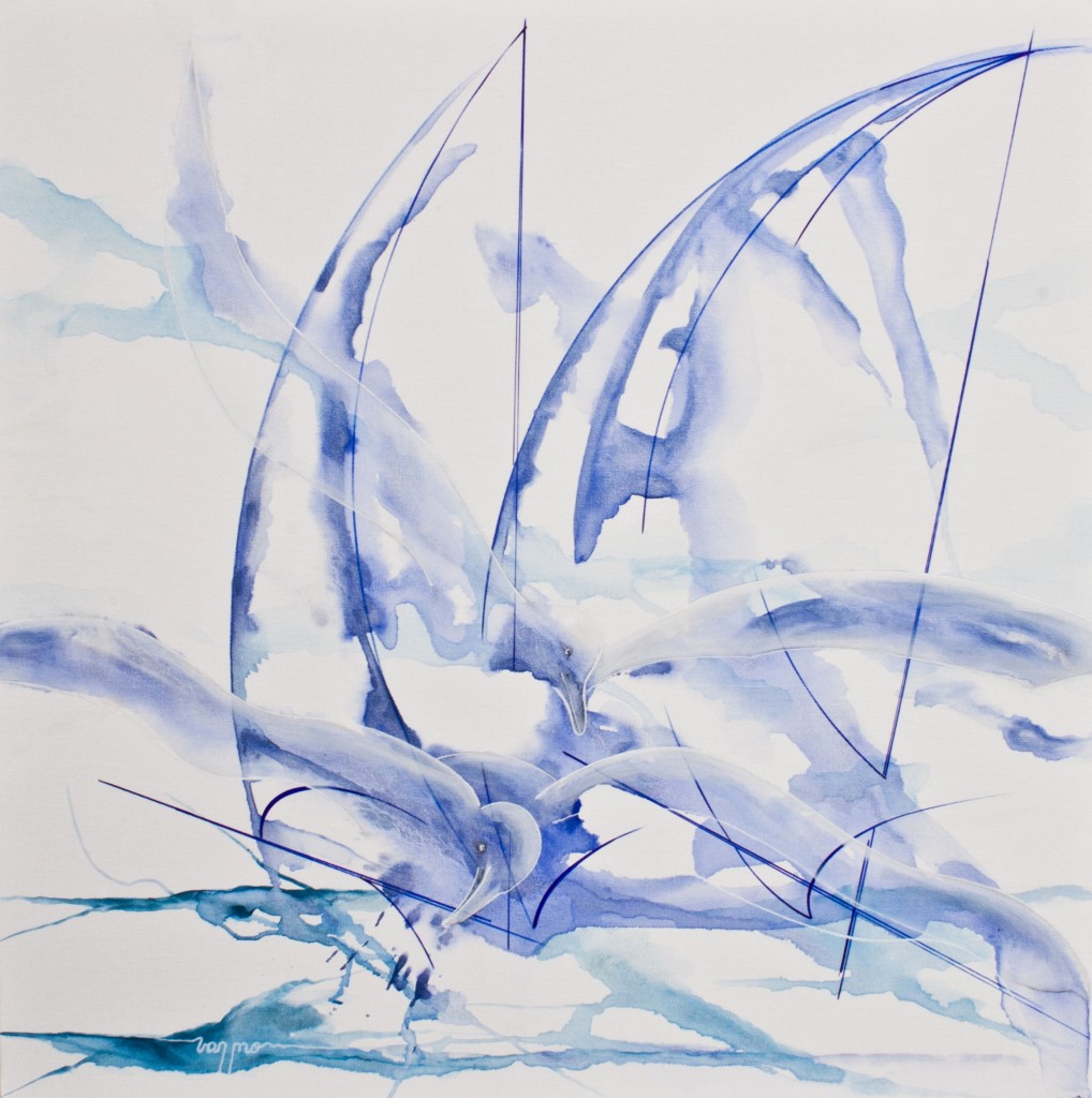 albatros