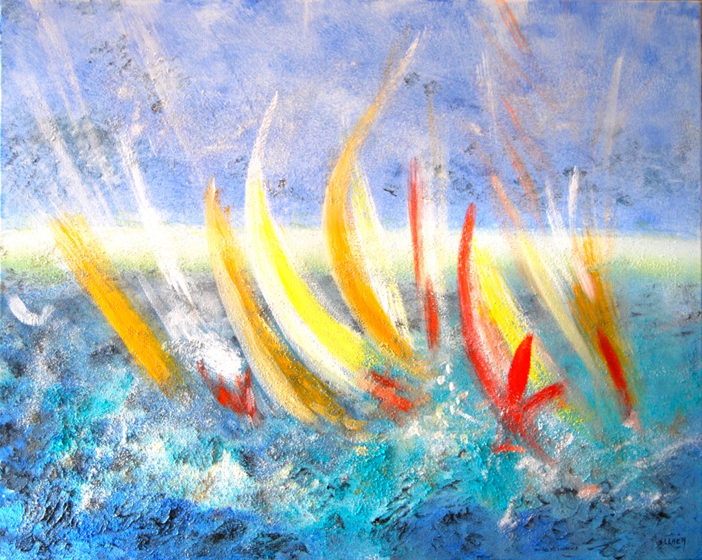 voiles-et-couleurs-ellhea-copy