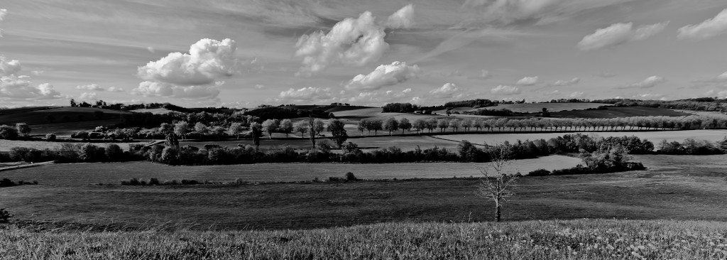 IMG_3650