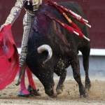 Profile picture of Amills Sisó