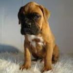 Profile picture of Croustic